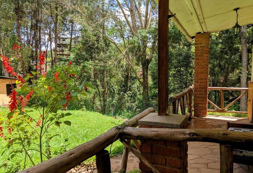 חדר דלוקס, Lawns