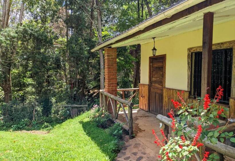 חדר דלוקס, Lawns