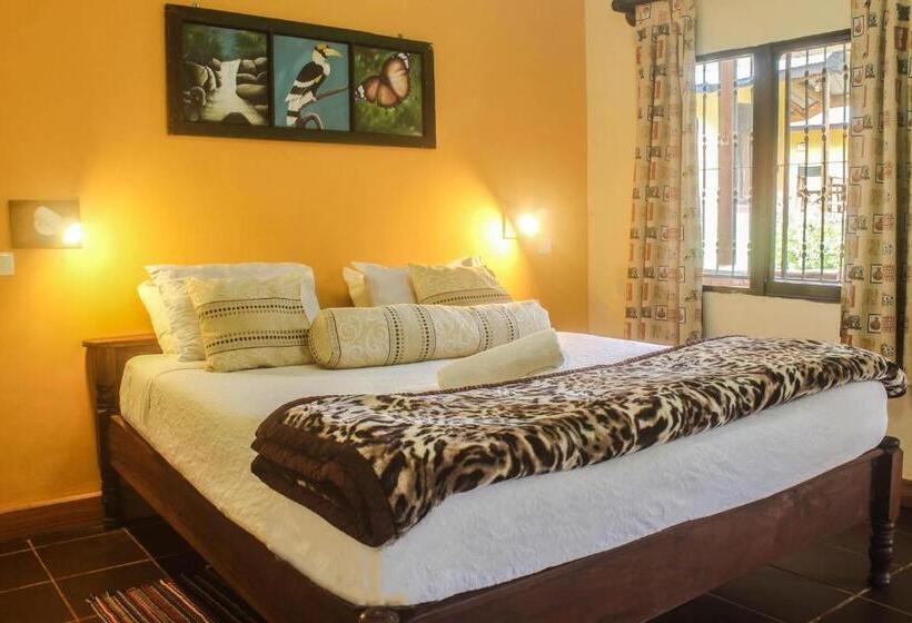 חדר דלוקס, Lawns