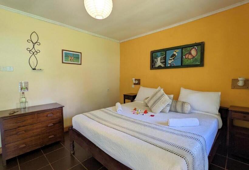 デラックスルーム, Lawns