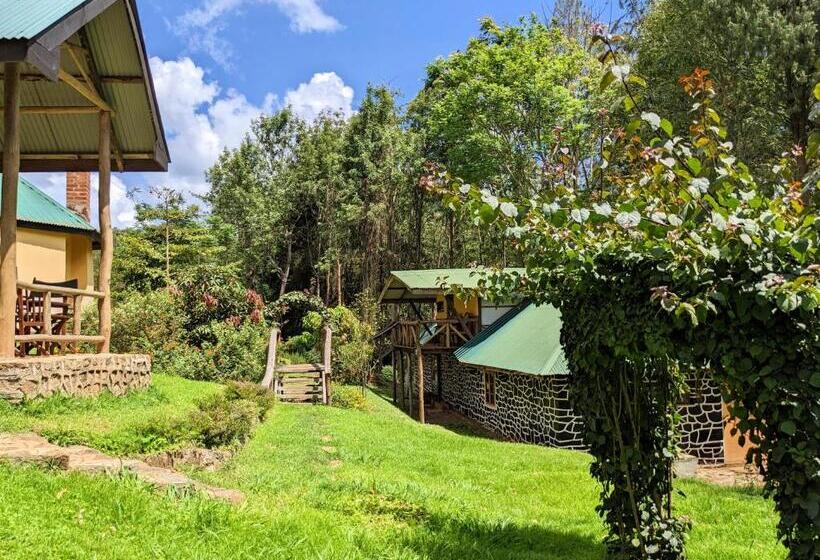 חדר סופריור, Lawns