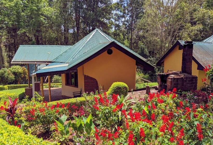 חדר סופריור, Lawns