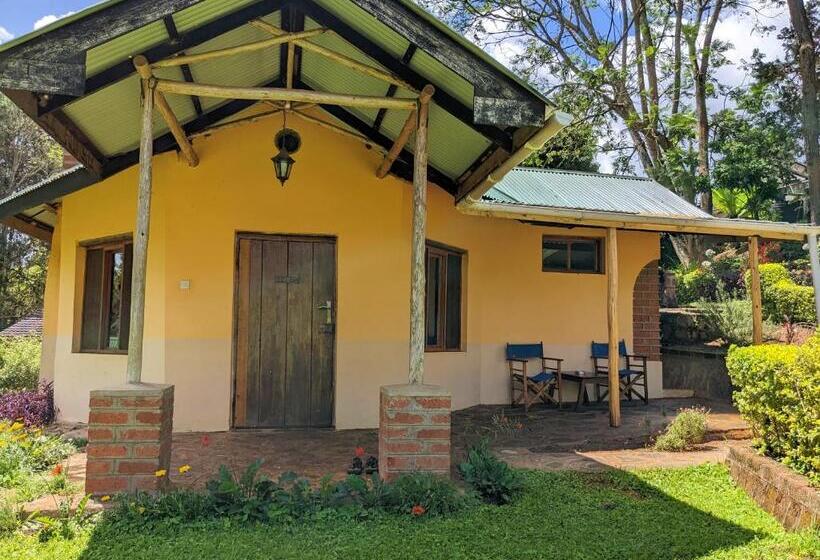 חדר סופריור, Lawns