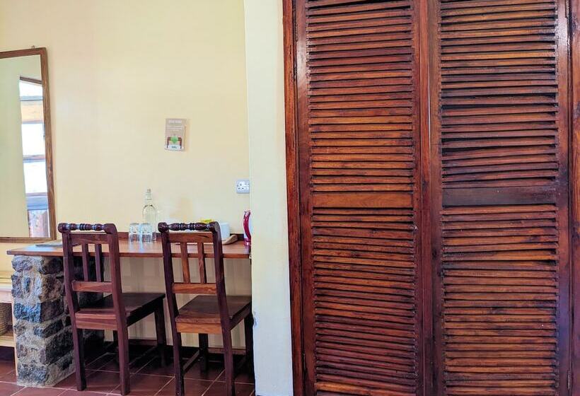 デラックスルーム, Lawns