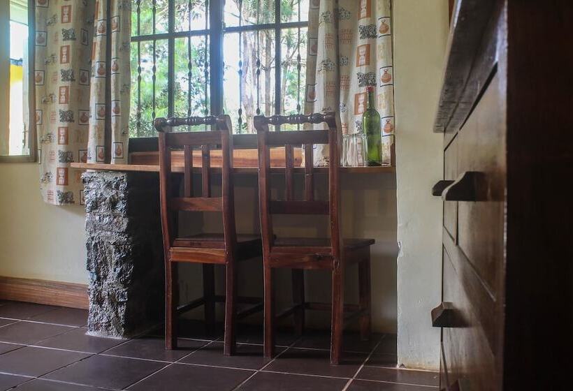 デラックスルーム, Lawns