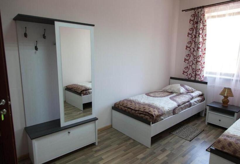 חדר סטנדרט, Alekselena