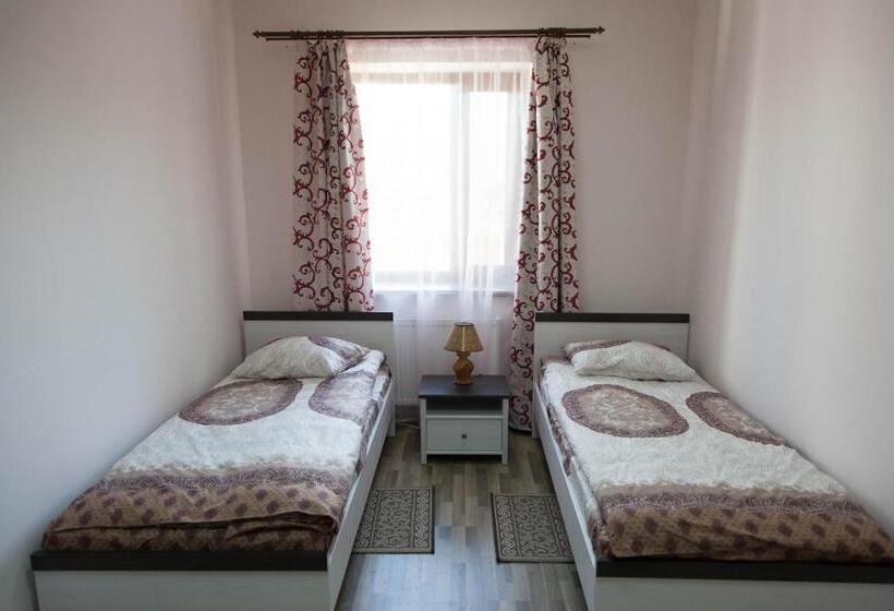 חדר סטנדרט, Alekselena