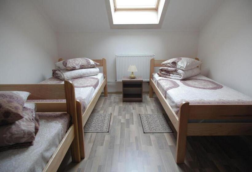 חדר סטנדרט לשלושה, Alekselena