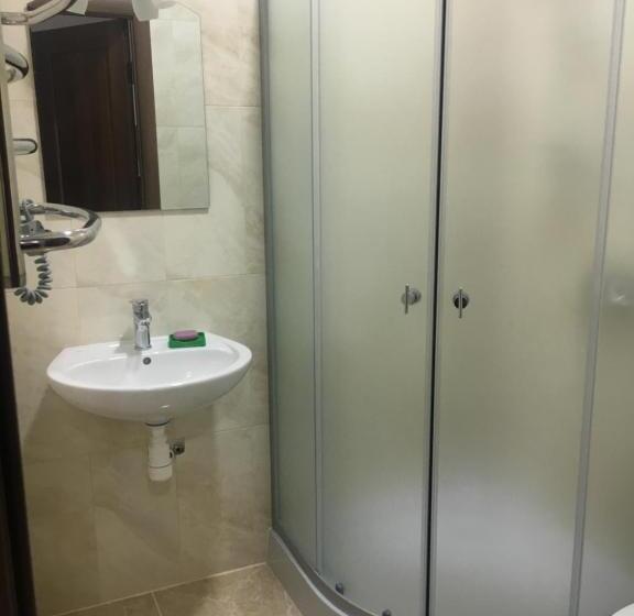 חדר סטנדרט לארבעה, Alekselena