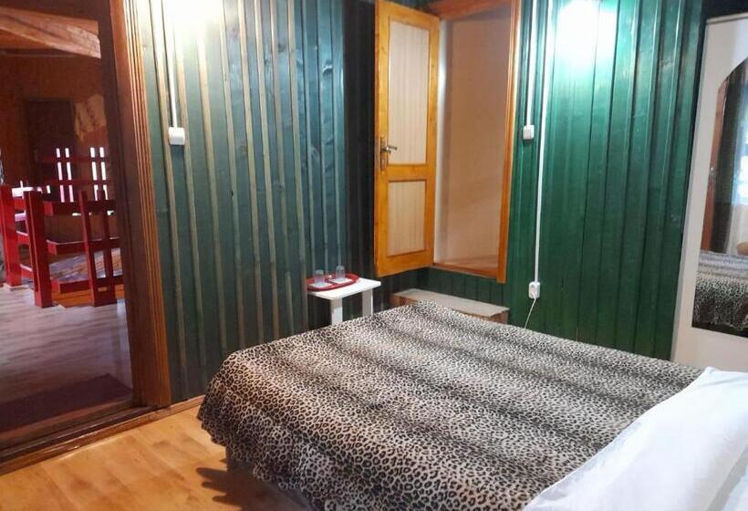 סטודיו סטנדרט עם מרפסת, Barlogul Ursilor Lepsa