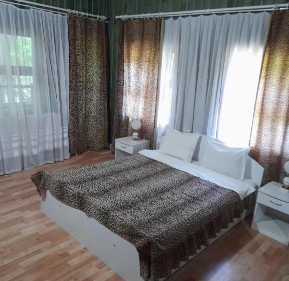 סטודיו סטנדרט עם מרפסת, Barlogul Ursilor Lepsa