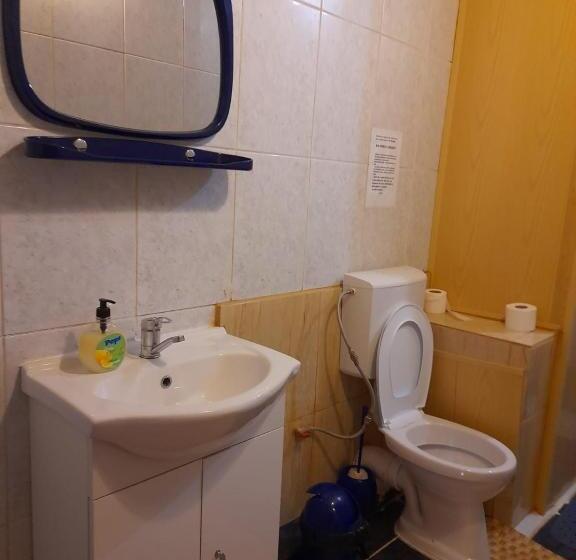 חדר דלוקס, Barlogul Ursilor Lepsa