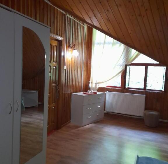 חדר דלוקס, Barlogul Ursilor Lepsa