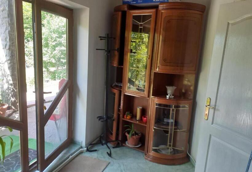 סטודיו סטנדרט, מיטה זוגית, Barlogul Ursilor Lepsa