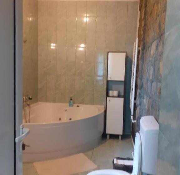 סטודיו סטנדרט, מיטה זוגית, Barlogul Ursilor Lepsa