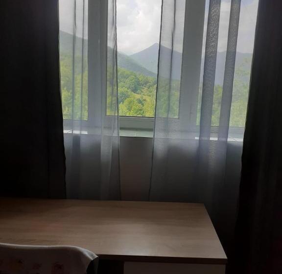 סטודיו סטנדרט, מיטה זוגית, Barlogul Ursilor Lepsa