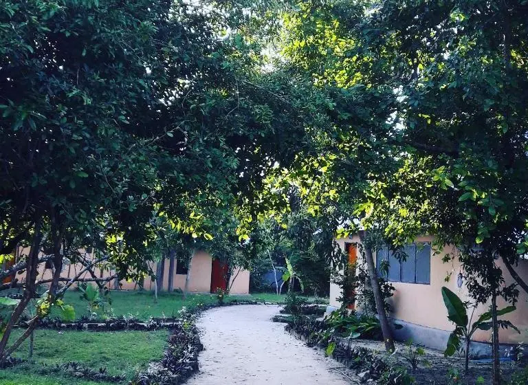 キングサイズベッドのスタンダードルーム, Gecko Nature Lodge Home Of Swahili Divers The Best Dive Center And Famous Gecko Restaurant