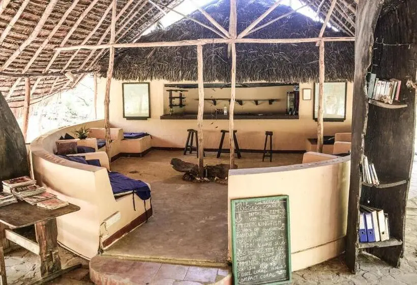 キングサイズベッドのスタンダードルーム, Gecko Nature Lodge Home Of Swahili Divers The Best Dive Center And Famous Gecko Restaurant