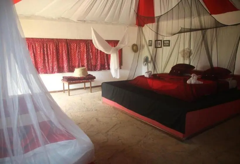 デラックスルーム, Gecko Nature Lodge Home Of Swahili Divers The Best Dive Center And Famous Gecko Restaurant