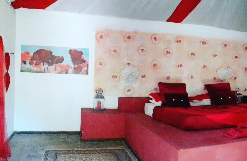 豪华房间, Gecko Nature Lodge Home Of Swahili Divers The Best Dive Center And Famous Gecko Restaurant