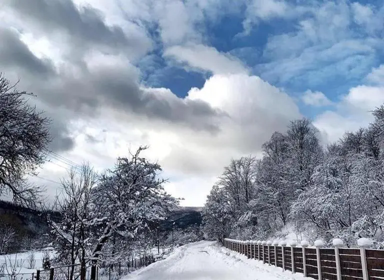 Huoneisto 1 Makuuhuone, урочище Rafnivskyi