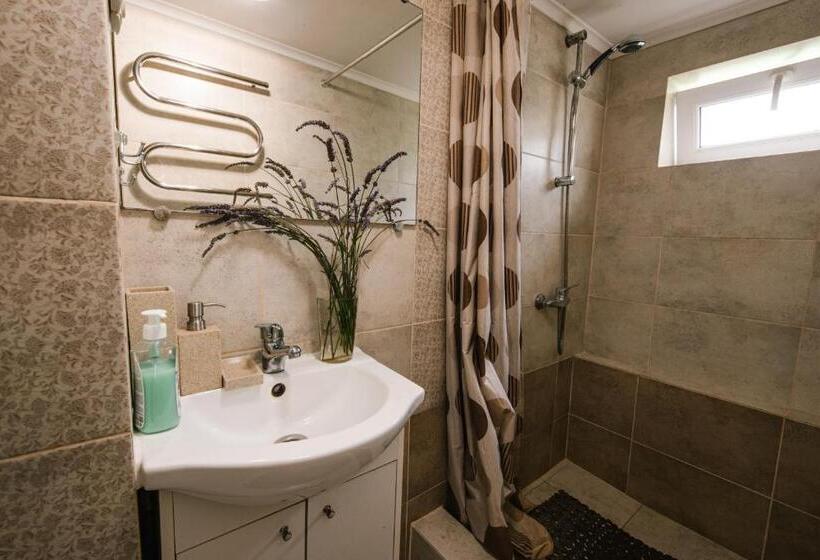 Апартаменты 1 Спальня с Видом, урочище Rafnivskyi