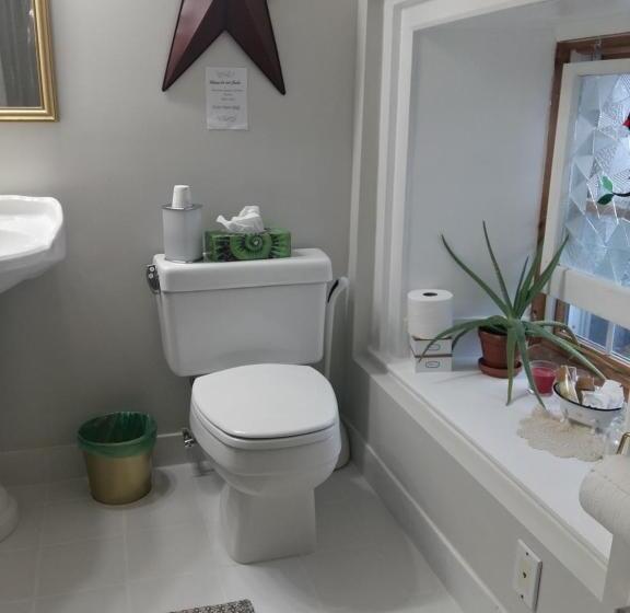 غرفة ديلوكس, Harlem Stonegate B&b