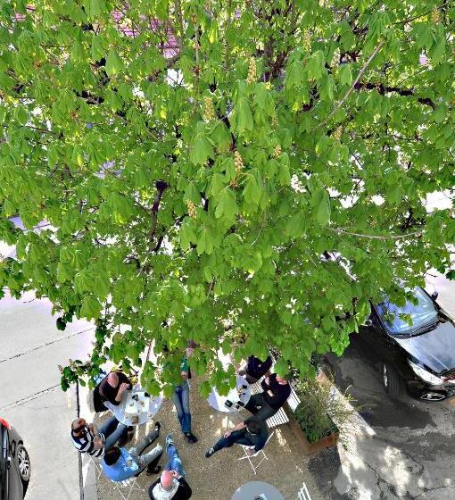 غرفة قياسية, Röschenzerhof