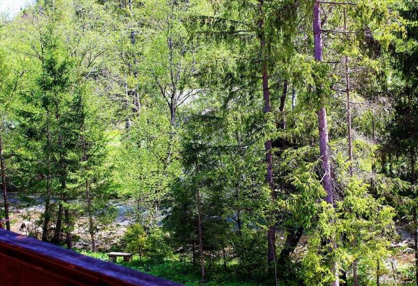 Rahat Oda, три брати