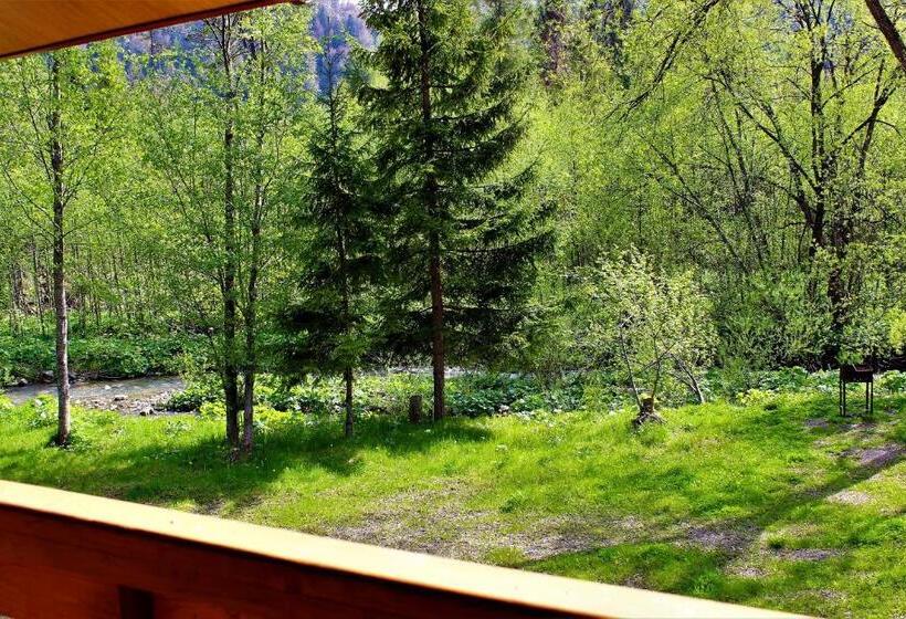 Süit, три брати