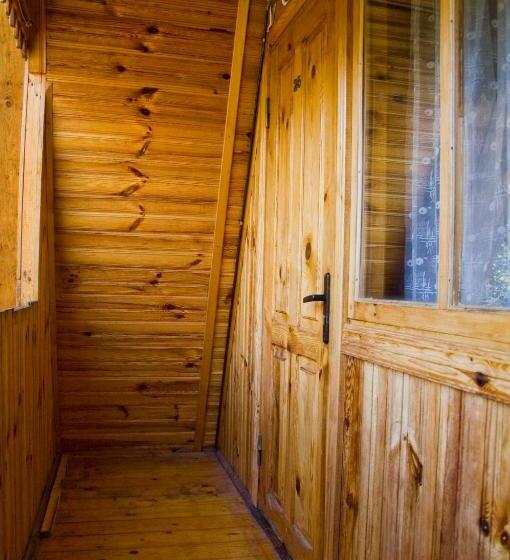 Ekonomik Oda, три брати