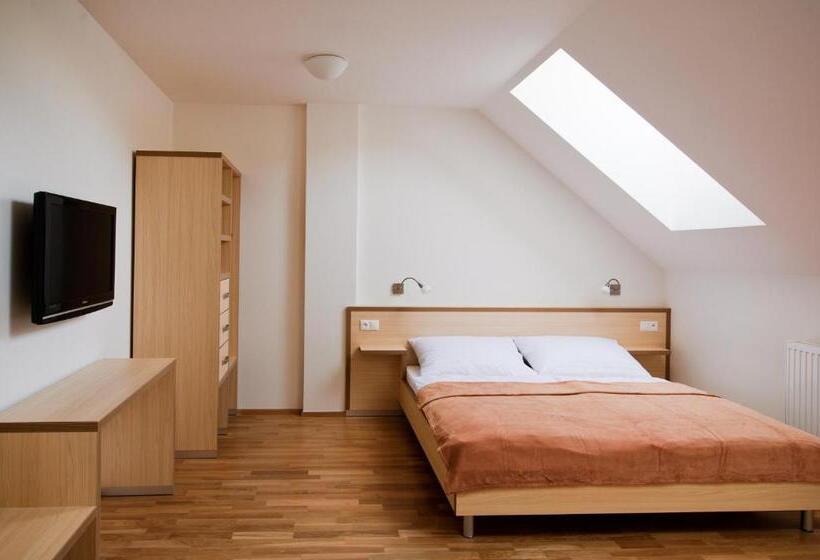 חדר סטנדרט מותאם לאדם עם מוגבלויות, Davidův Mlýn