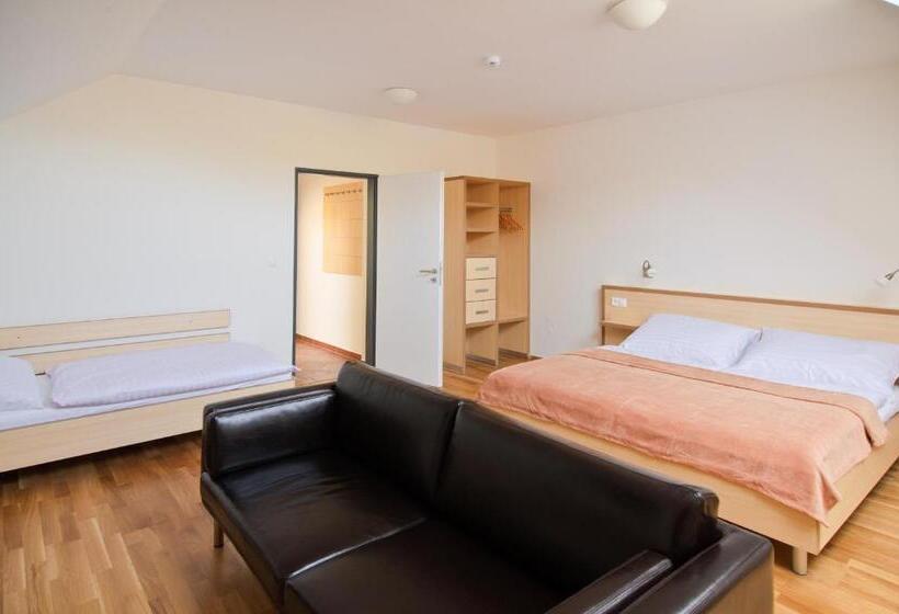 חדר סטנדרט לשלושה, Davidův Mlýn