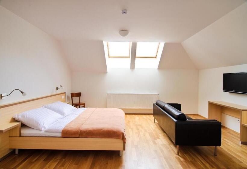 חדר סטנדרט לשלושה, Davidův Mlýn