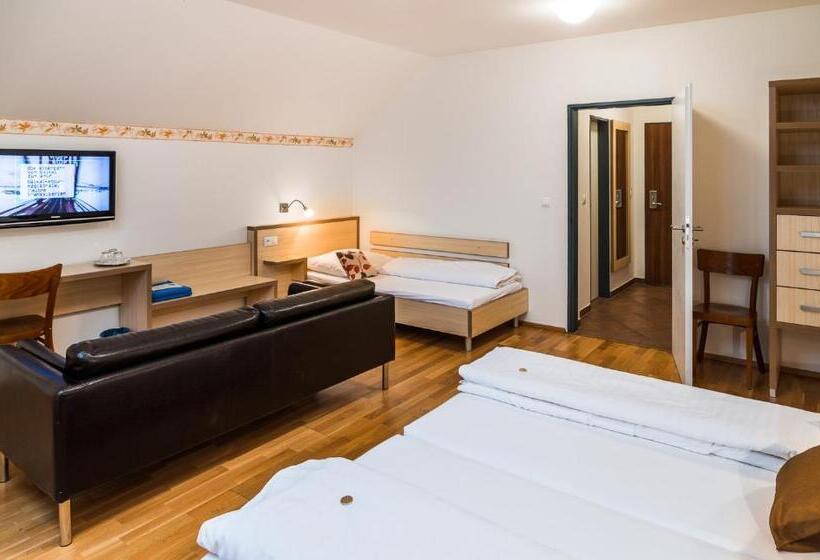 חדר סטנדרט לשלושה, Davidův Mlýn