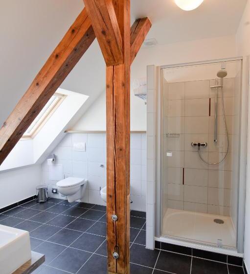 דירת חדר, Davidův Mlýn