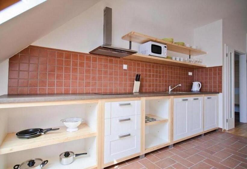 דירת חדר, Davidův Mlýn