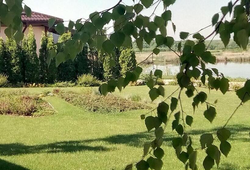 דירת חדר, Hanul Cocosul