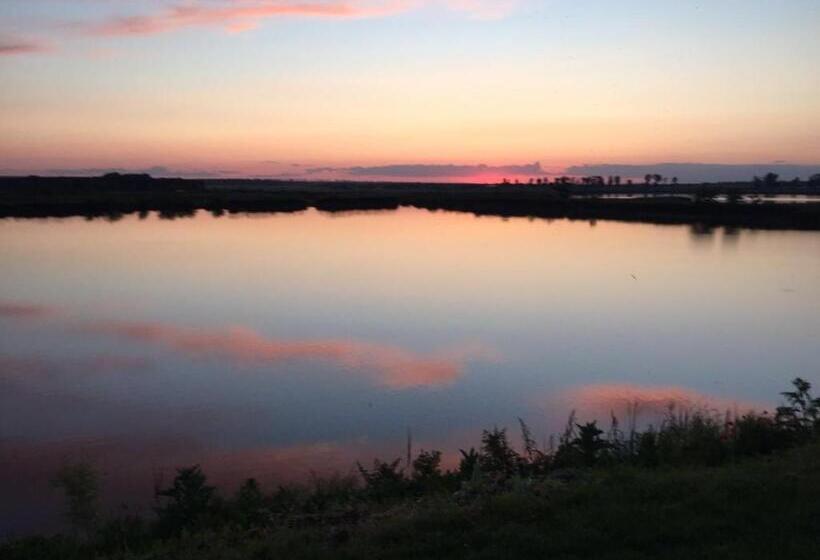 חדר סטנדרט, Hanul Cocosul