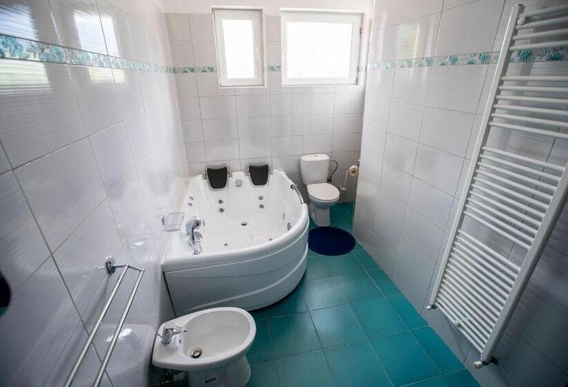 Стандартный Номер Кровать Кинг, Pensiune Perla