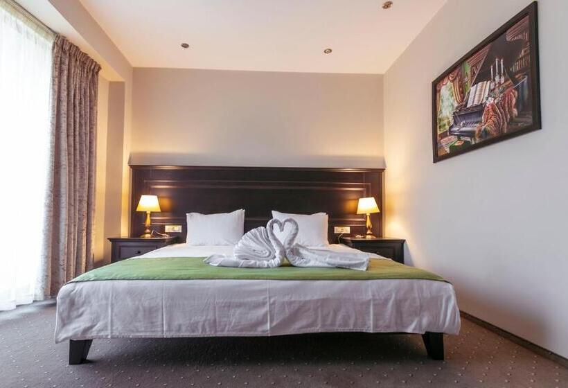 חדר סטנדרט עם מיטת קינג, Pensiunea Himalaya