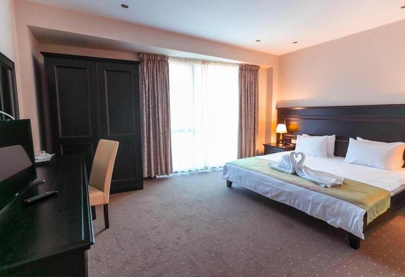 חדר סטנדרט עם מיטת קינג, Pensiunea Himalaya