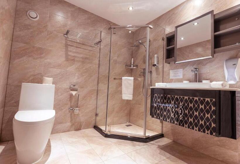 חדר סטנדרט, Pensiunea Himalaya