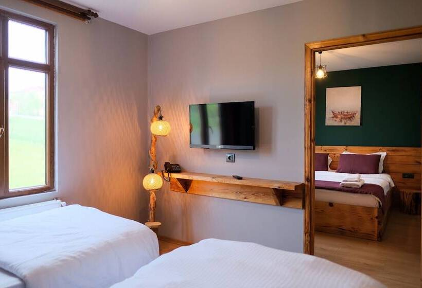 غرفة قياسية, Zeyti̇ndali Yayla Otel