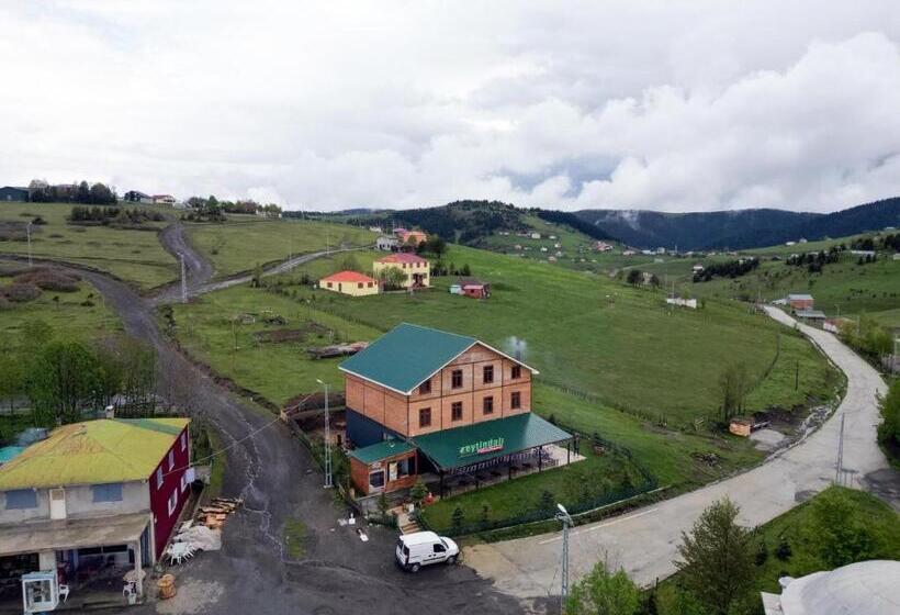 Family Suite, Zeyti̇ndali Yayla Otel