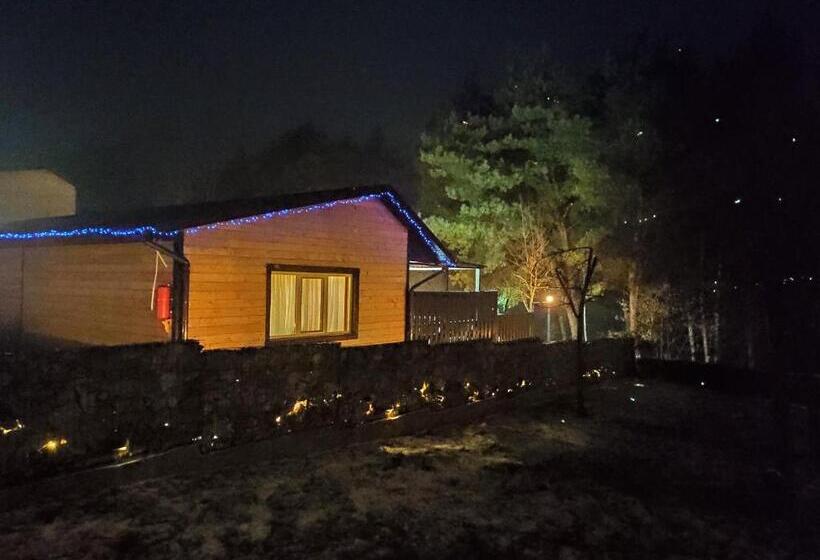 استودیو استاندارد با تراس, воллен