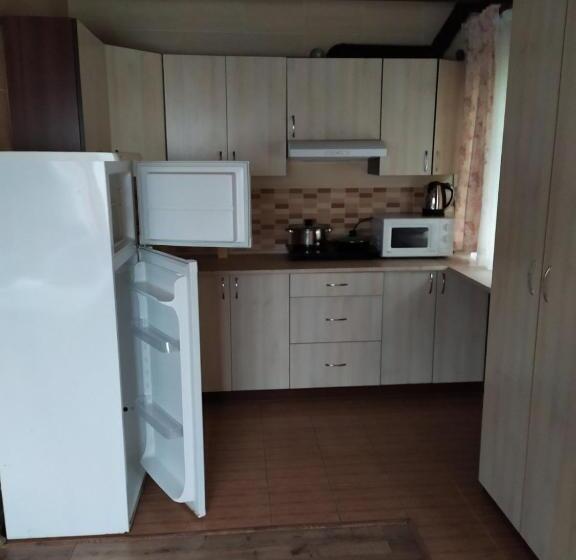 استودیو استاندارد با تراس, воллен