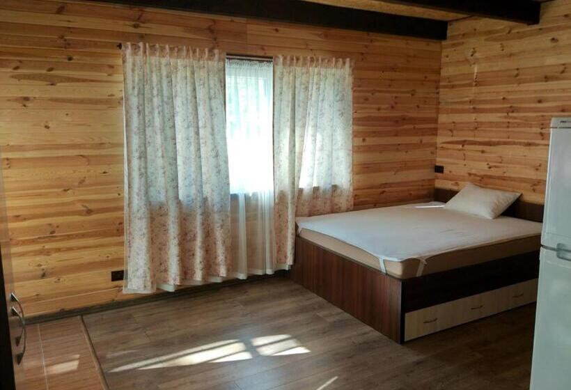 استودیو استاندارد با تراس, воллен