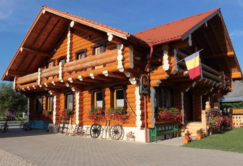 Standard room with outdoor bath, Agropensiunea Maria