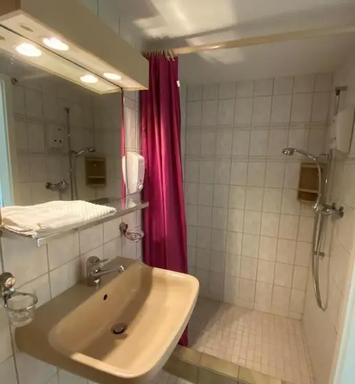 ガーデンビューのスタンダードワンルーム, Apart Hôtel Pont De Thielle